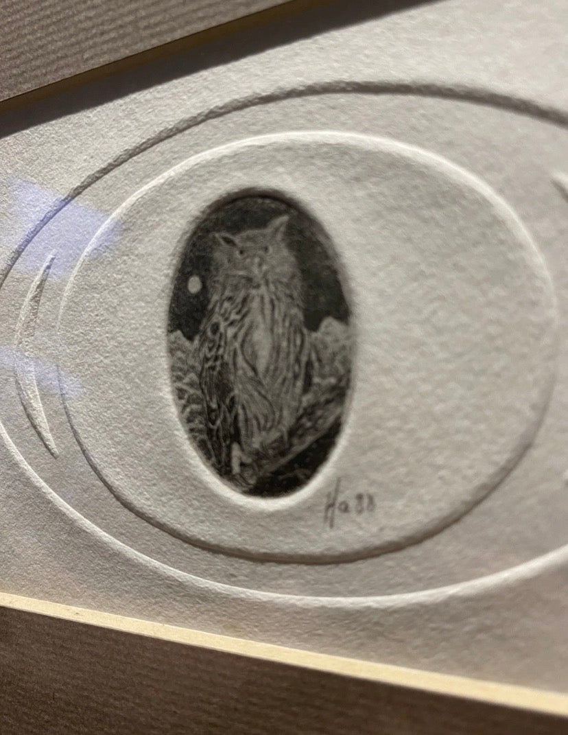 Vintage Miniature Etching Of An Owl On Embossed Paper , Framed