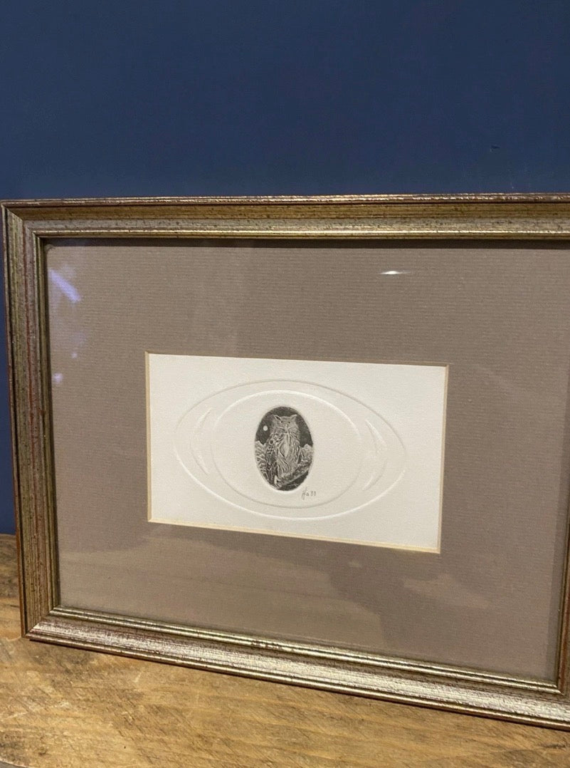 Vintage Miniature Etching Of An Owl On Embossed Paper , Framed