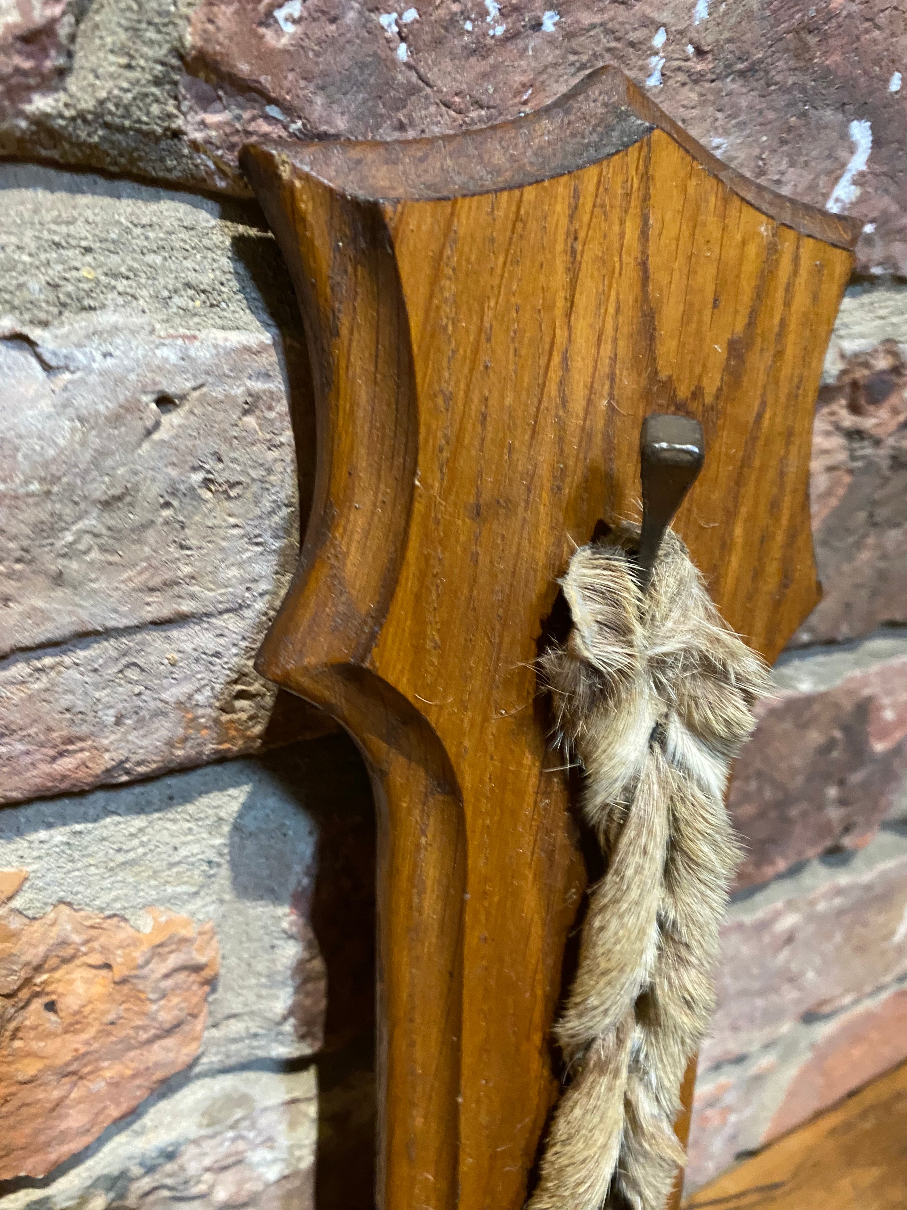 Deer Foot On Plaque 1969 | Taxidermy | Wilson Fox Antiques UK