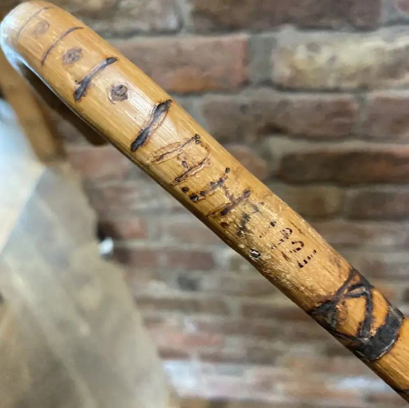 Antique Stockman's Cane | Pointer | Wilson Fox Antiques