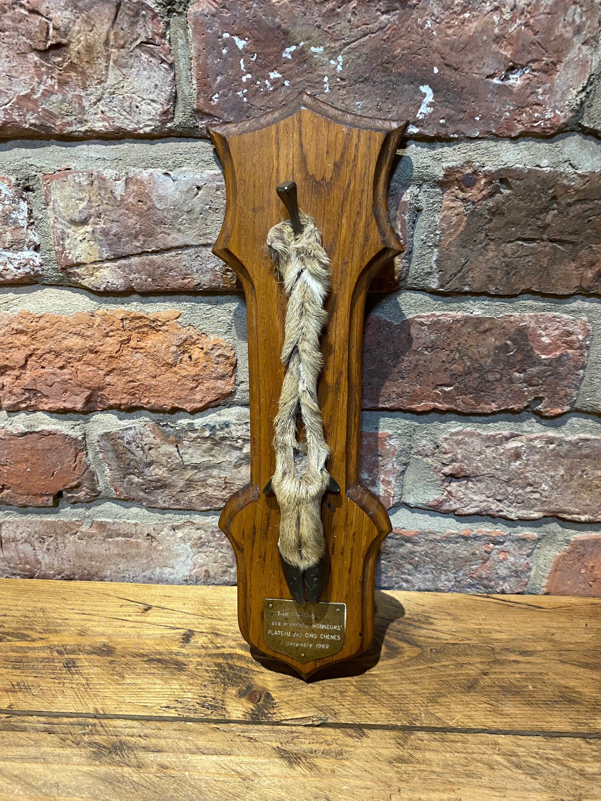 Deer Foot On Plaque 1969 | Taxidermy | Wilson Fox Antiques UK