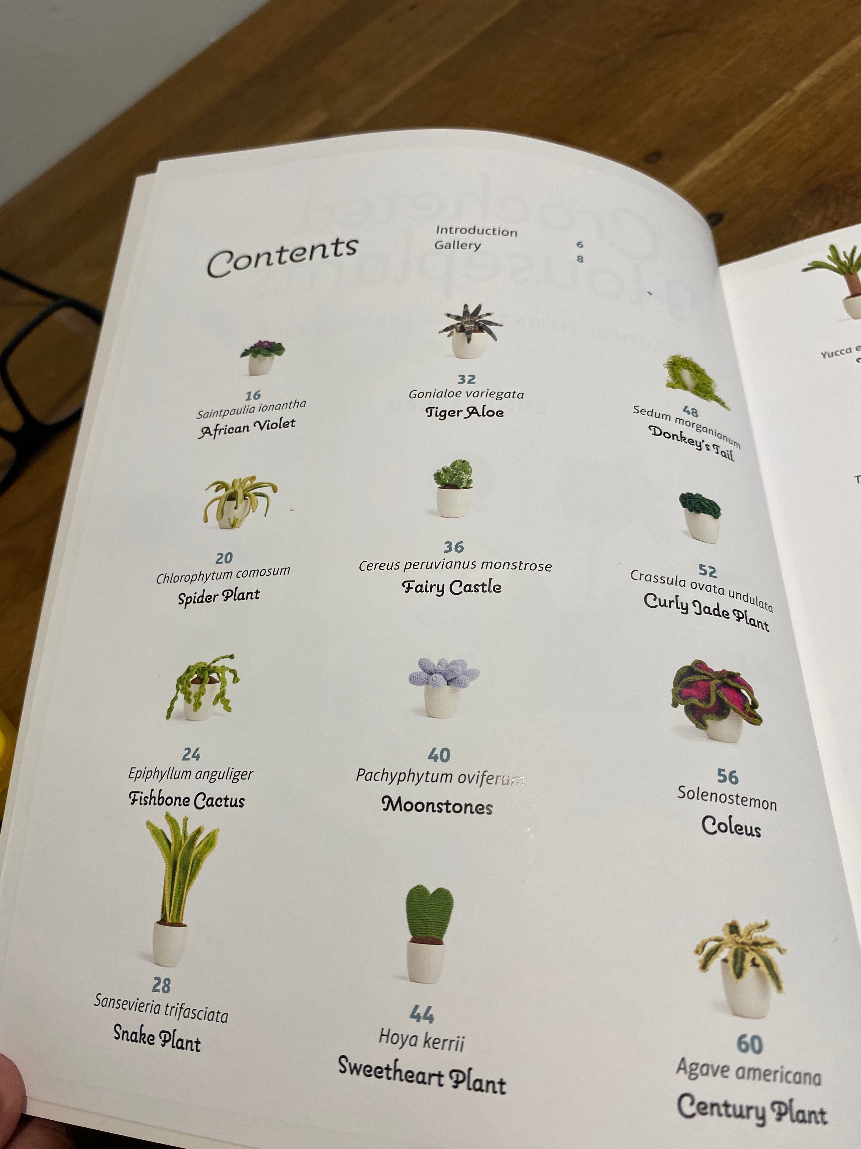 Crocheted houseplants by Emma Varnam , paperback book