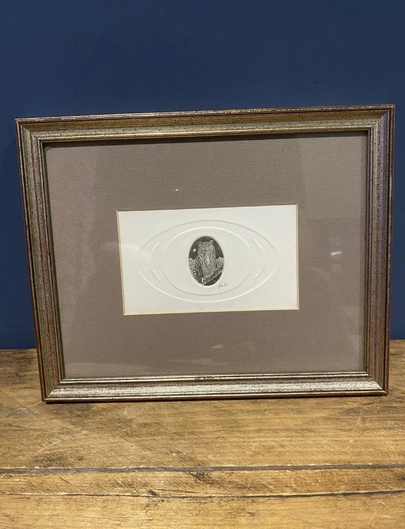 Vintage Miniature Etching Of An Owl On Embossed Paper , Framed