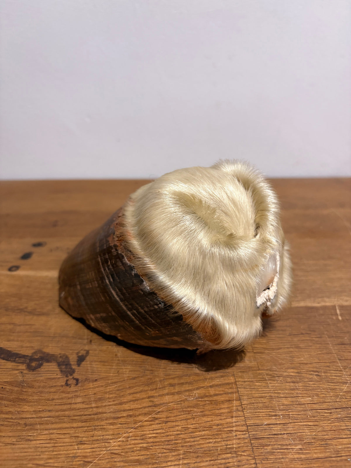 Antique Taxidermy Horse Hoof , White Horse