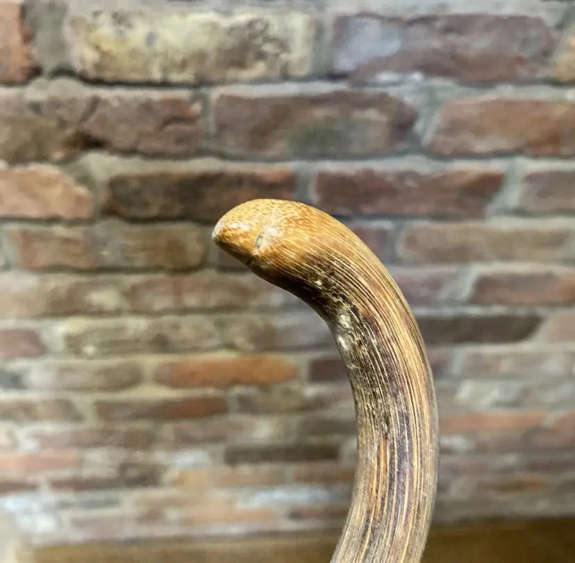 Antique Stockman's Cane / Pointer | Wilson Fox Antiques