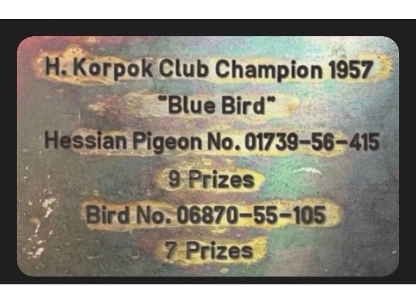 Vintage 1957 German Racing Pigeon Award , Bronze Picture , Rare