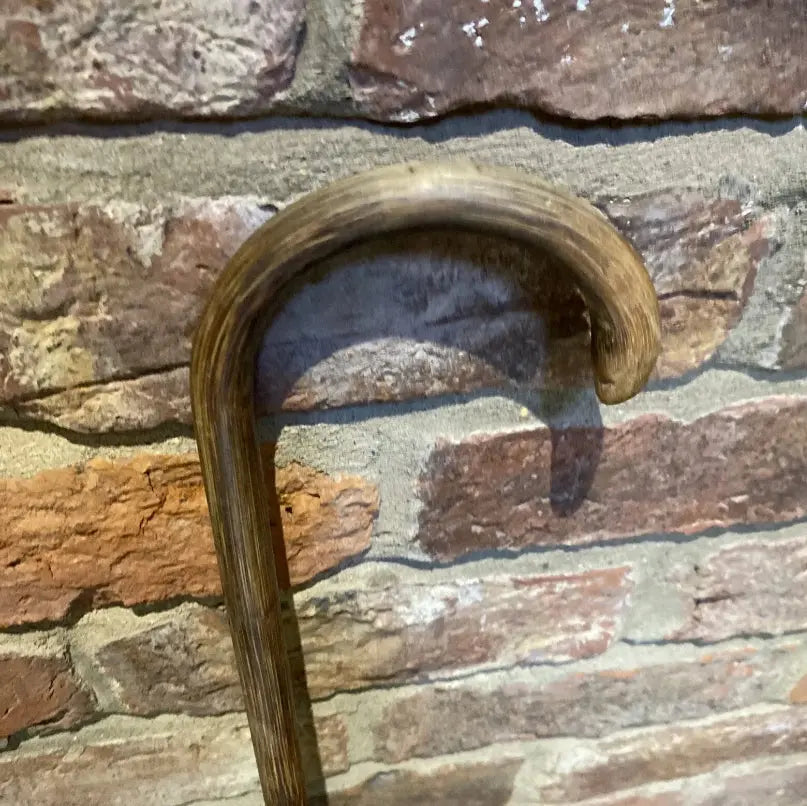 Antique Stockman's Cane / Pointer | Wilson Fox Antiques