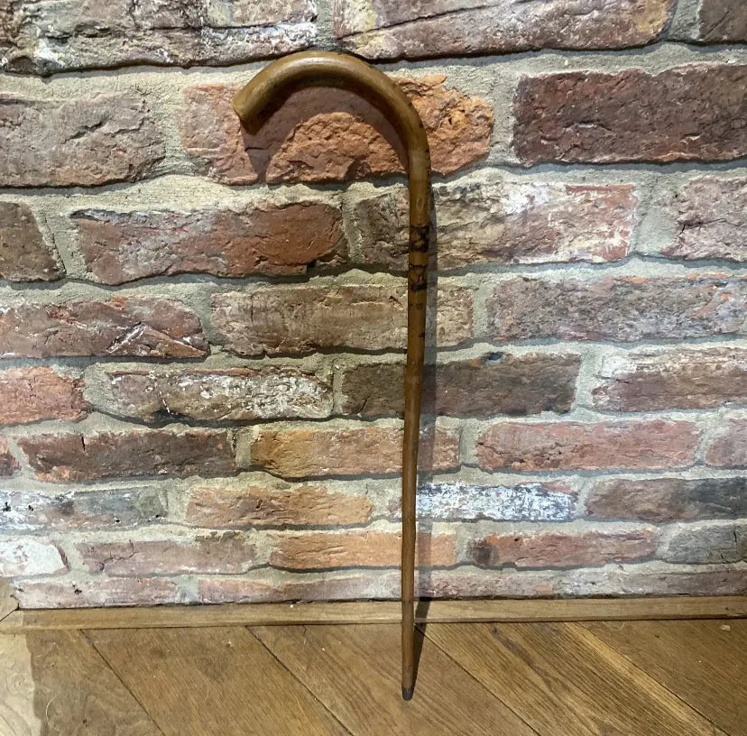 Antique Stockman's Cane | Pointer | Wilson Fox Antiques