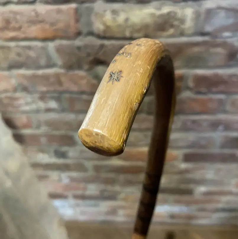Antique Stockman's Cane | Pointer | Wilson Fox Antiques