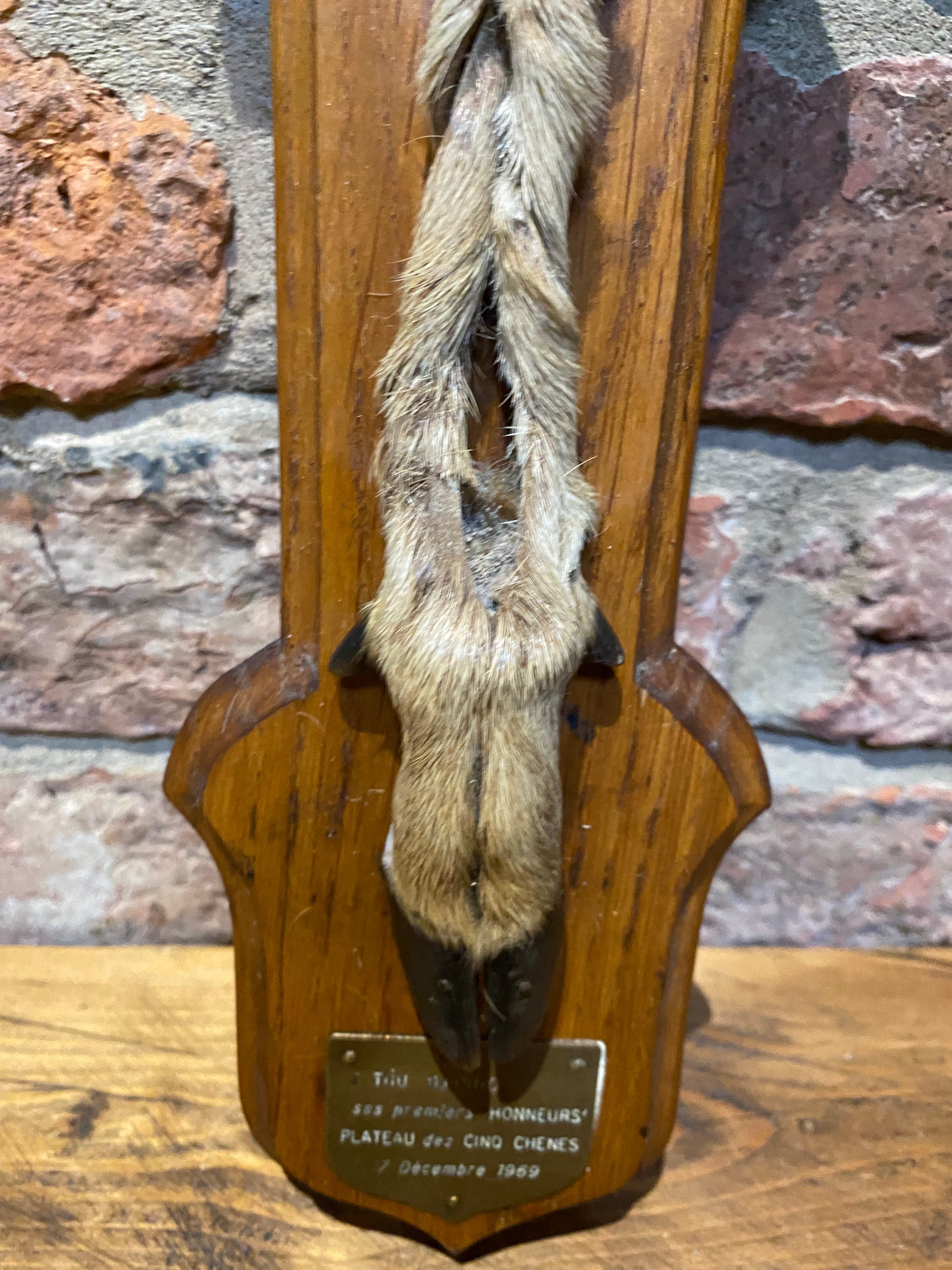 Deer Foot On Plaque 1969 | Taxidermy | Wilson Fox Antiques UK