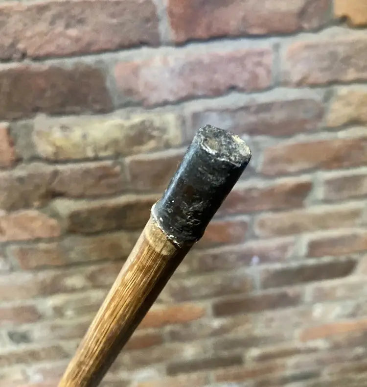 Antique Stockman's Cane / Pointer | Wilson Fox Antiques
