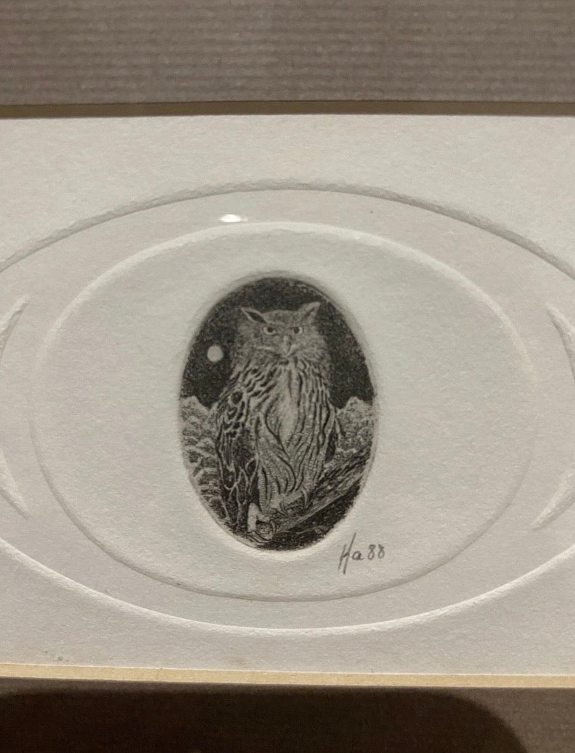 Vintage Miniature Etching Of An Owl On Embossed Paper , Framed